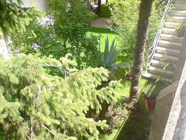 Hotel La Pergola Amélie-les-Bains-Palalda Dış mekan fotoğraf